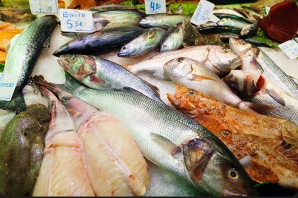 Associação destaca importância da diversificação das exportações angolanas